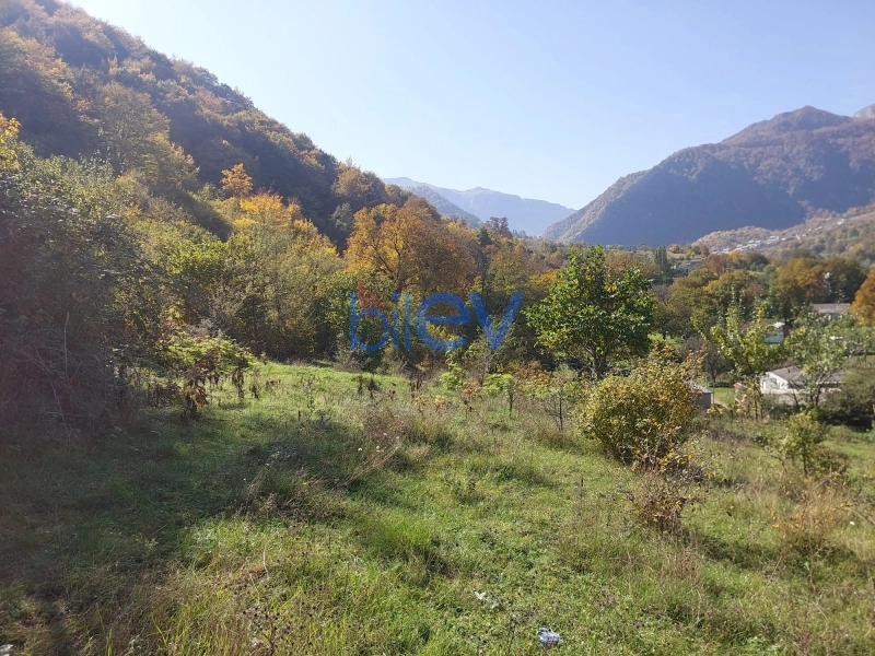 Satış  otaqlı Torpaq  m², Quba