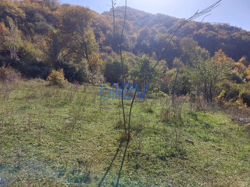 Satış  otaqlı Torpaq  m², Quba