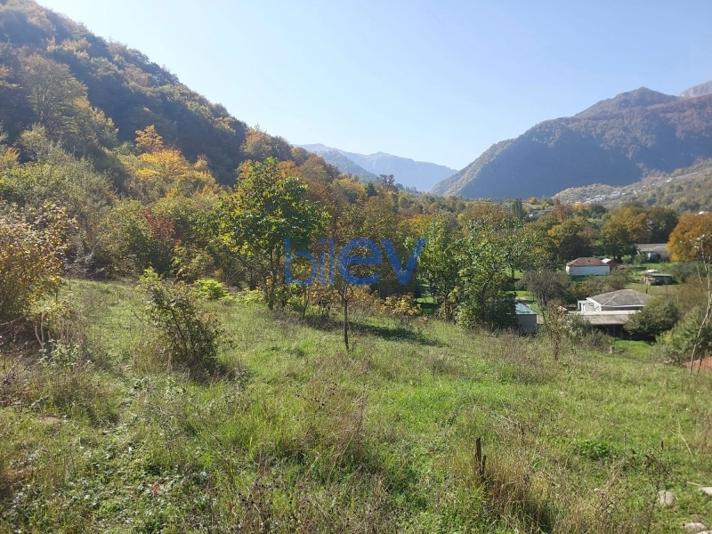 Satış  otaqlı Torpaq  m², Quba