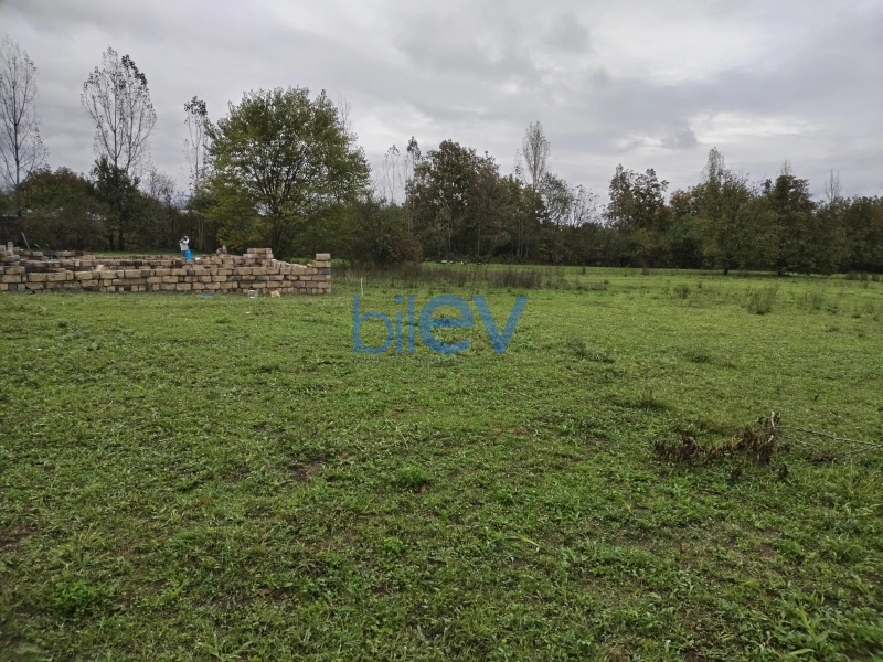 Satış  otaqlı Torpaq  12m², Qəbələ