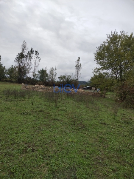 Satış  otaqlı Torpaq  12m², Qəbələ