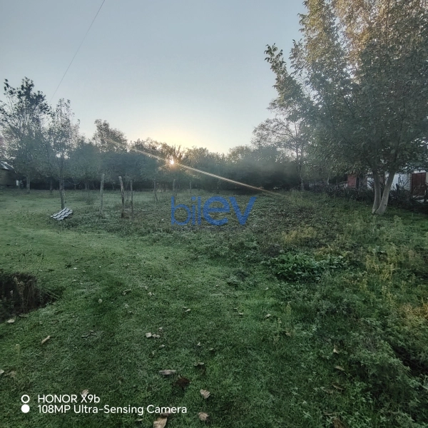 Satış  otaqlı Torpaq  10m², Qəbələ