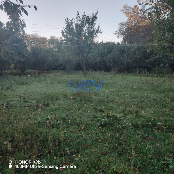 Satış  otaqlı Torpaq  10m², Qəbələ