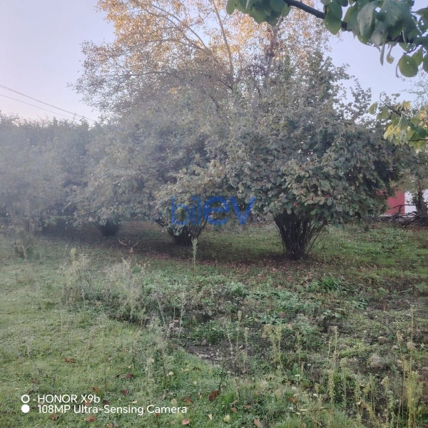 Satış  otaqlı Torpaq  10m², Qəbələ