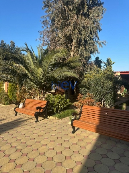 Satış 8 otaqlı Bağ evi  450m², Bakı