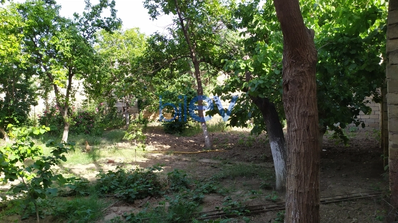 Satış 6 otaqlı Həyət evi  450m², Bakı