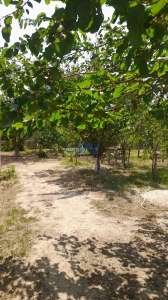 Satış 4 otaqlı Bağ evi  180m², Bakı