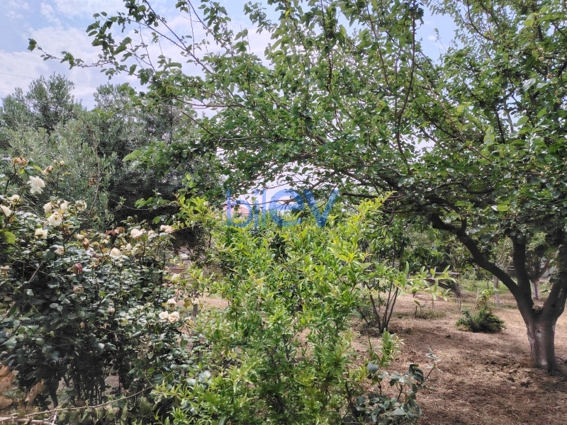 Satış 4 otaqlı Bağ evi  180m², Bakı
