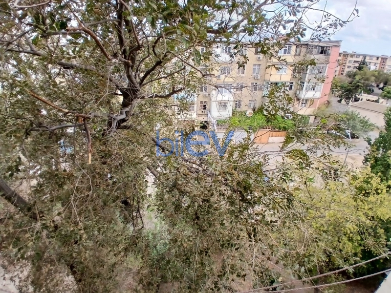 Aylıq Kirayə 2 otaqlı Köhnə Tikili bina evi  55m², Bakı