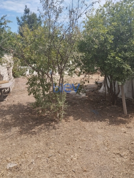 Satış  otaqlı Torpaq  m², Bakı