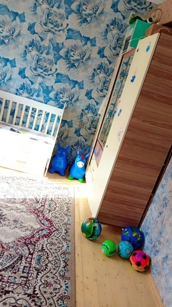 Satış 3 otaqlı Həyət evi  80m², Bakı