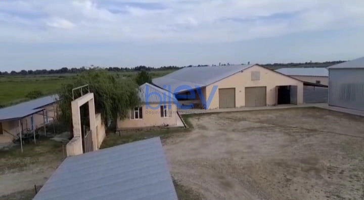 Satış  otaqlı Obyekt  10000m², Xaçmaz / Xudat