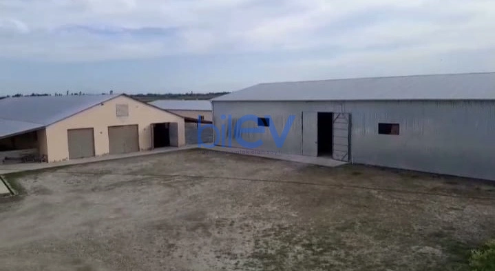 Satış  otaqlı Obyekt  10000m², Xaçmaz / Xudat