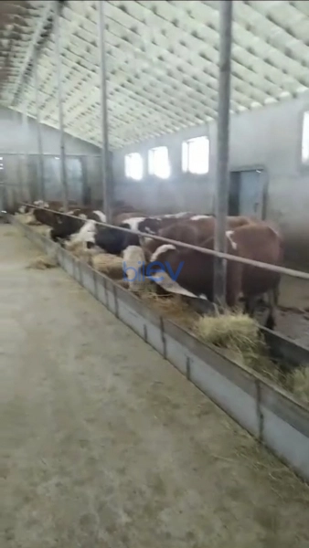 Satış  otaqlı Obyekt  10000m², Xaçmaz / Xudat