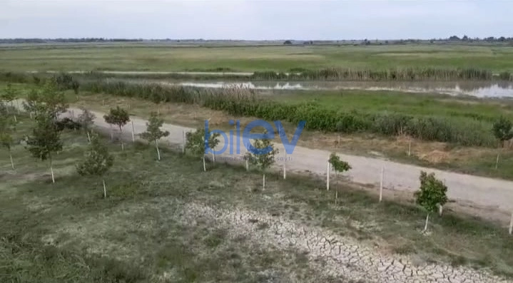 Satış  otaqlı Obyekt  10000m², Xaçmaz / Xudat
