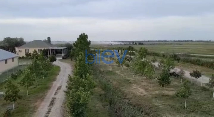 Satış  otaqlı Obyekt  10000m², Xaçmaz / Xudat