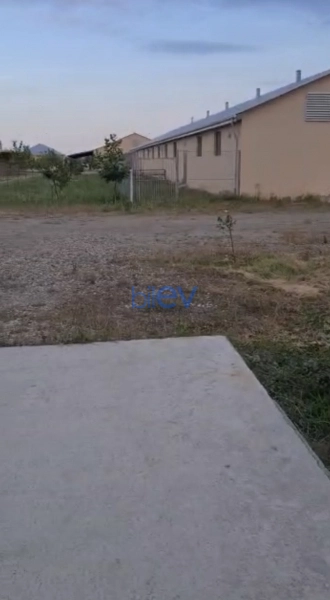 Satış  otaqlı Obyekt  10000m², Xaçmaz / Xudat