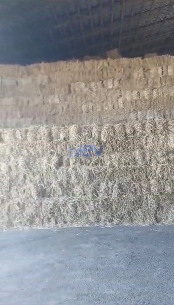 Satış  otaqlı Obyekt  10000m², Xaçmaz / Xudat