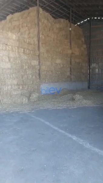 Satış  otaqlı Obyekt  10000m², Xaçmaz / Xudat