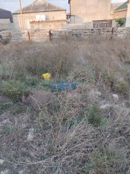 Satış  otaqlı Torpaq  300m², Bakı