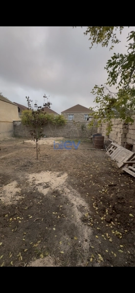 Satış  otaqlı Torpaq  1600m², Bakı