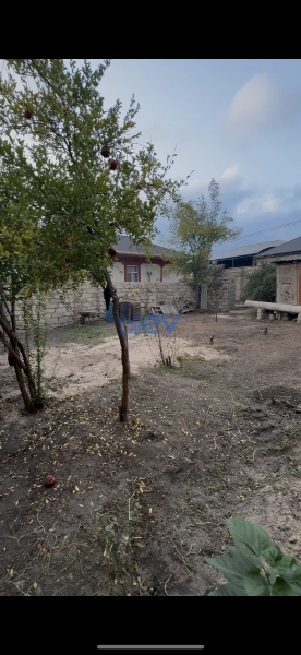 Satış  otaqlı Torpaq  1600m², Bakı