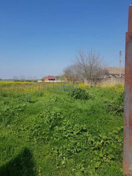 Satış 5 otaqlı Həyət evi  251m², Masallı