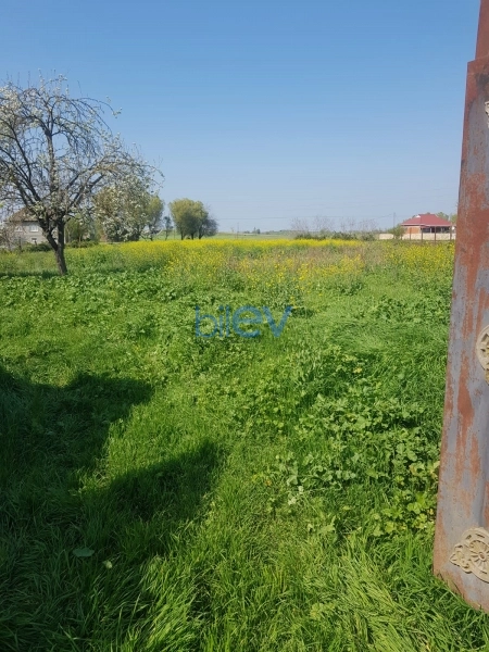 Satış 5 otaqlı Həyət evi  251m², Masallı