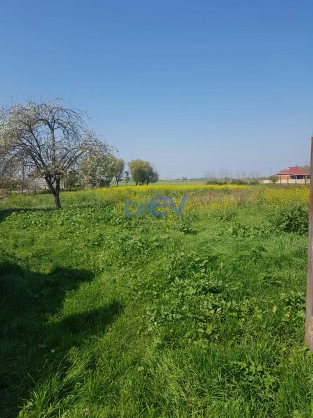 Satış 5 otaqlı Həyət evi  251m², Masallı
