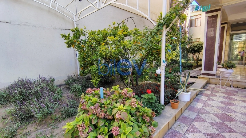 Aylıq Kirayə 9 otaqlı Həyət evi  560m², Bakı