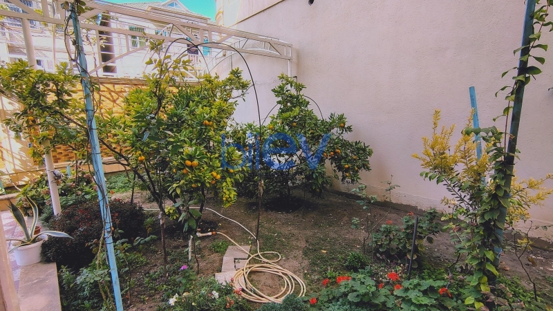 Aylıq Kirayə 9 otaqlı Həyət evi  560m², Bakı