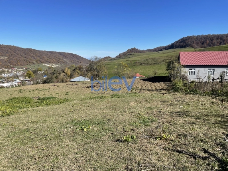 Satış  otaqlı Torpaq  60m², Quba