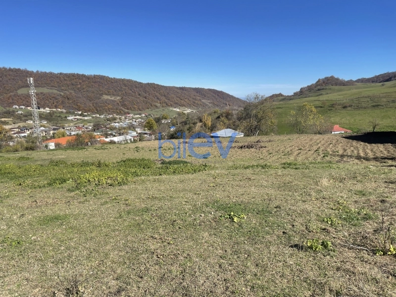 Satış  otaqlı Torpaq  60m², Quba
