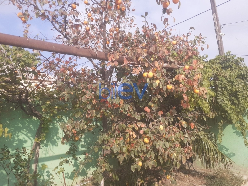 Satış 7 otaqlı Bağ evi  230m², Bakı
