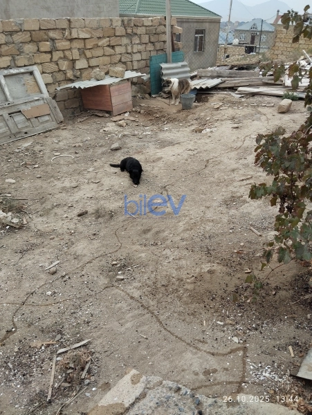 Satış 4 otaqlı Həyət evi  100m², Bakı
