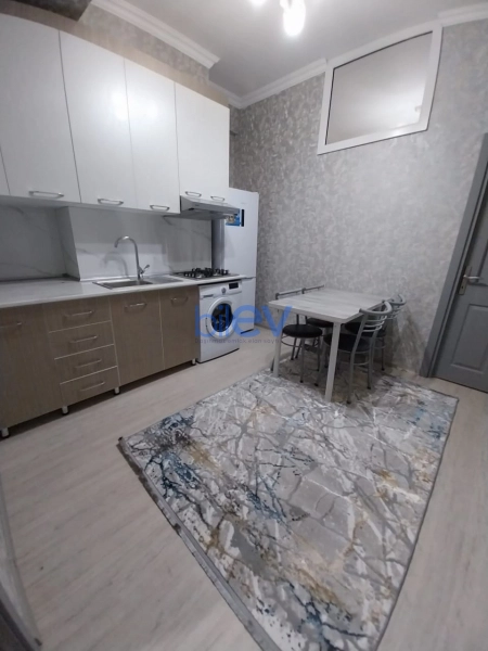 Aylıq Kirayə 2 otaqlı Yeni Tikili bina evi  80m², Bakı