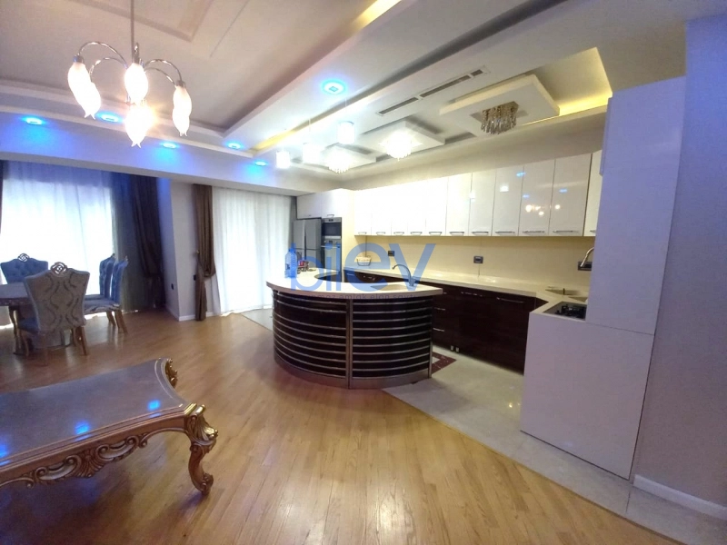 Aylıq Kirayə 3 otaqlı Yeni Tikili bina evi  110m², Bakı