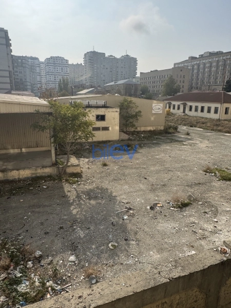 Satış  otaqlı Torpaq  10000m², Bakı