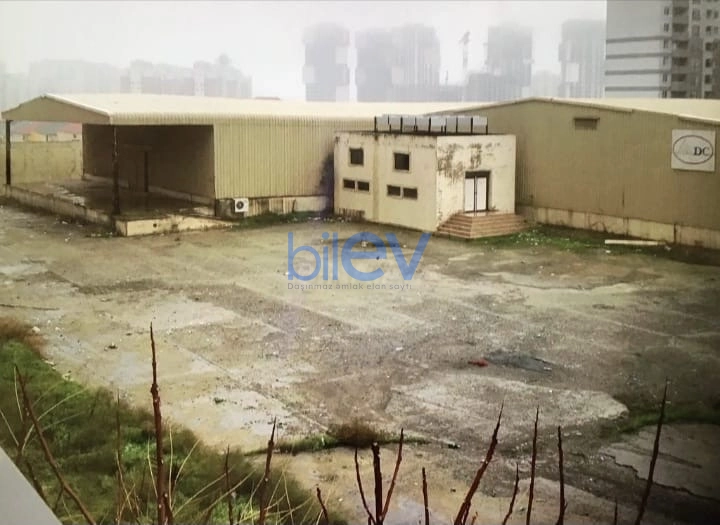 Satış  otaqlı Torpaq  10000m², Bakı
