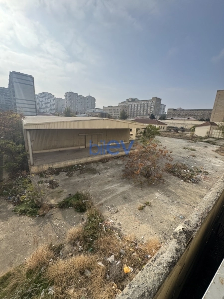 Satış  otaqlı Torpaq  10000m², Bakı