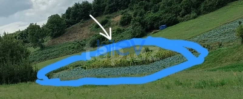 Günlük Kirayə 3 otaqlı Aframe  100m², Qəbələ