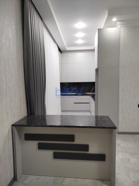 Satış 5 otaqlı Yeni Tikili bina evi  240m², Bakı