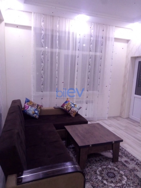Aylıq Kirayə 2 otaqlı Yeni Tikili bina evi  55m², Bakı