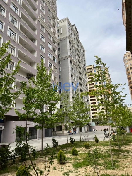 Aylıq Kirayə 2 otaqlı Yeni Tikili bina evi  55m², Bakı