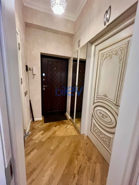 Aylıq Kirayə 2 otaqlı Yeni Tikili bina evi  55m², Bakı