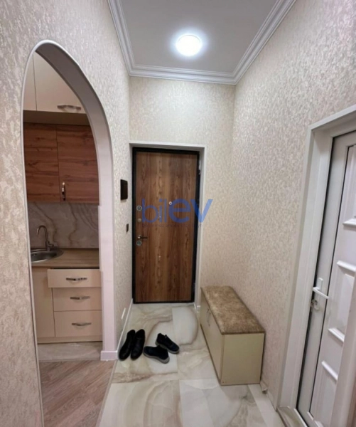 Aylıq Kirayə 2 otaqlı Yeni Tikili bina evi  55m², Bakı