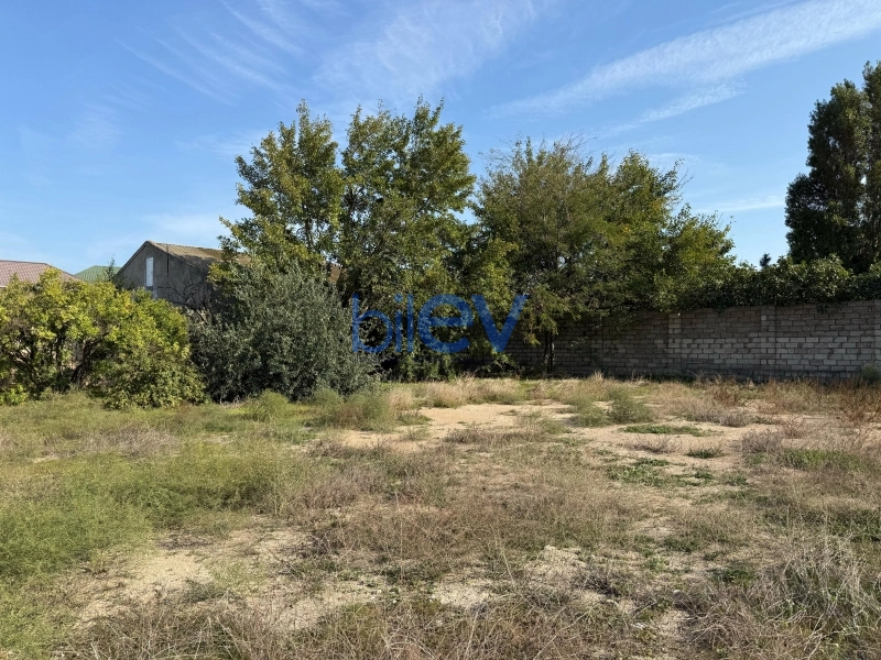 Satış  otaqlı Torpaq  1000m², Bakı