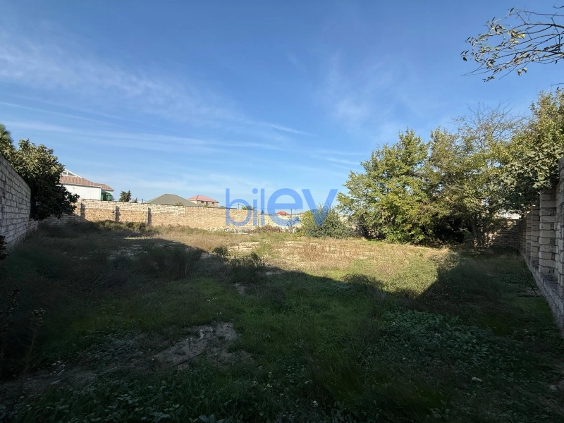 Satış  otaqlı Torpaq  1000m², Bakı