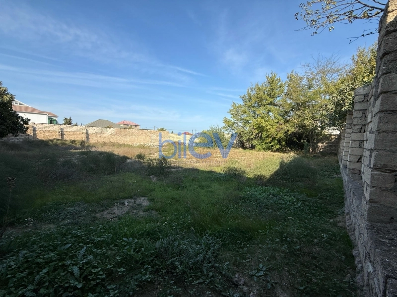 Satış  otaqlı Torpaq  1000m², Bakı
