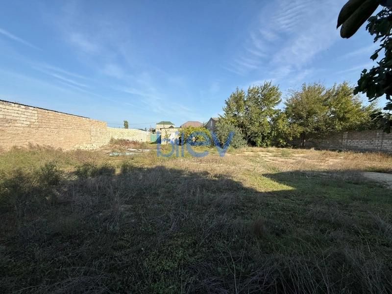 Satış  otaqlı Torpaq  1000m², Bakı